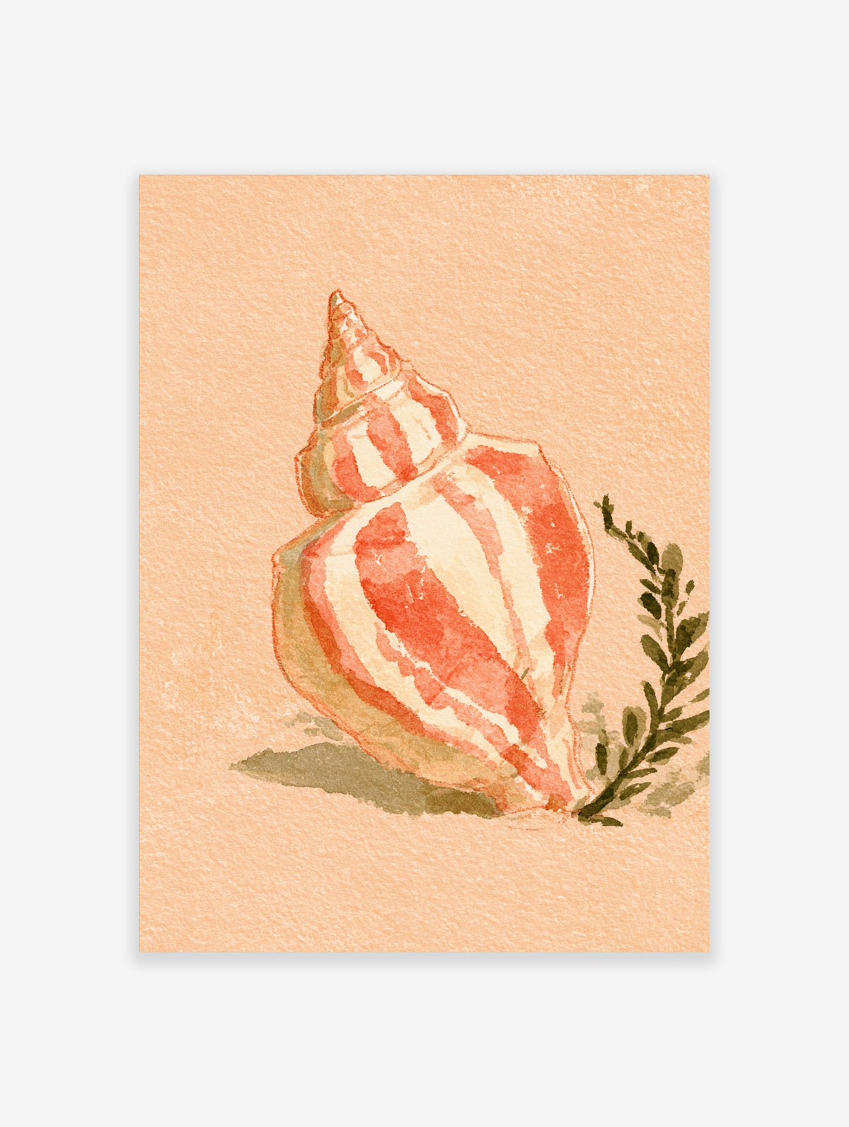 Orange and cream conch shell watercolour art print with green seaweed on peach background