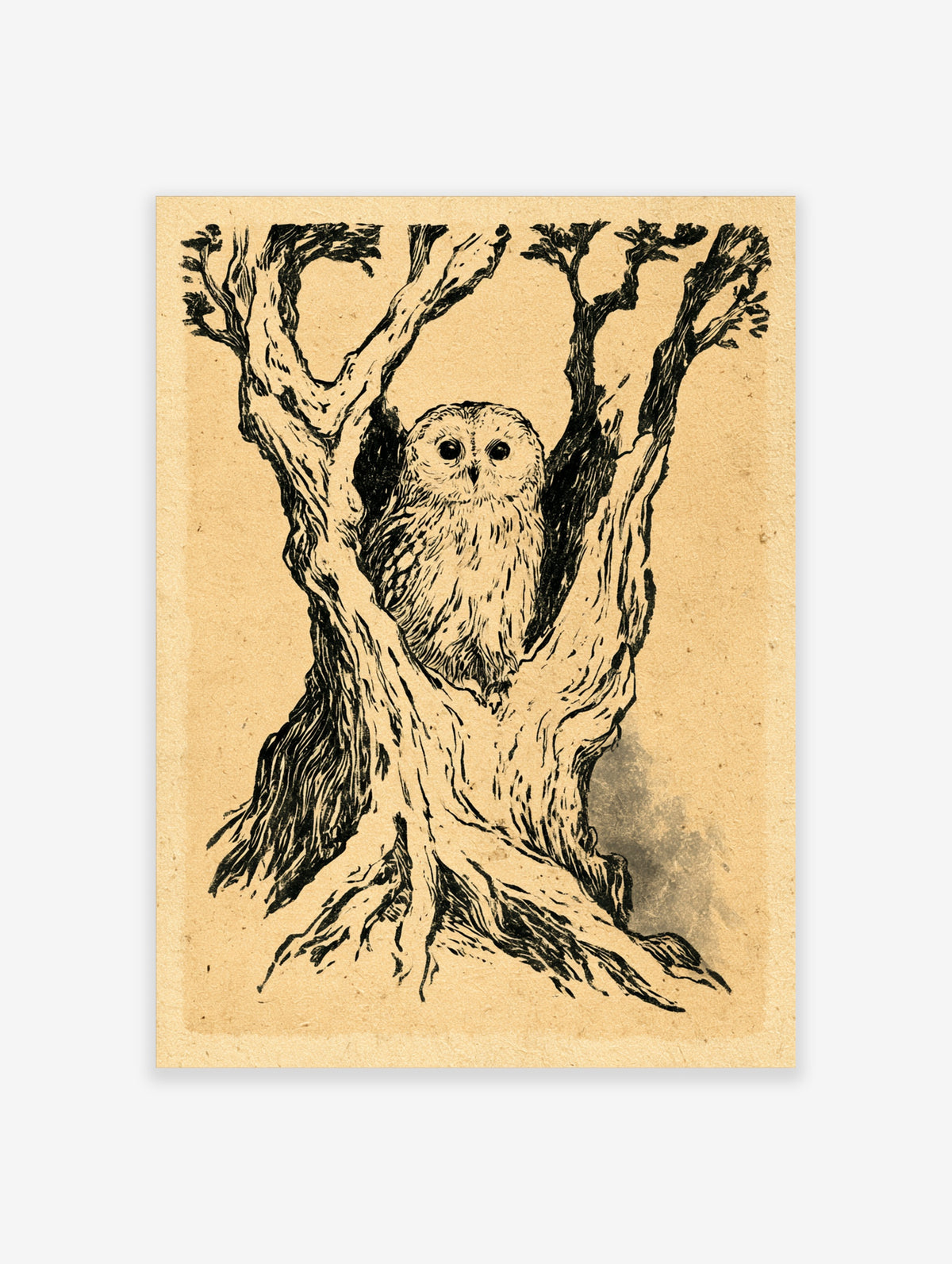 Vintage ink illustration of an owl perched in a gnarled, leafless tree on tan paper
