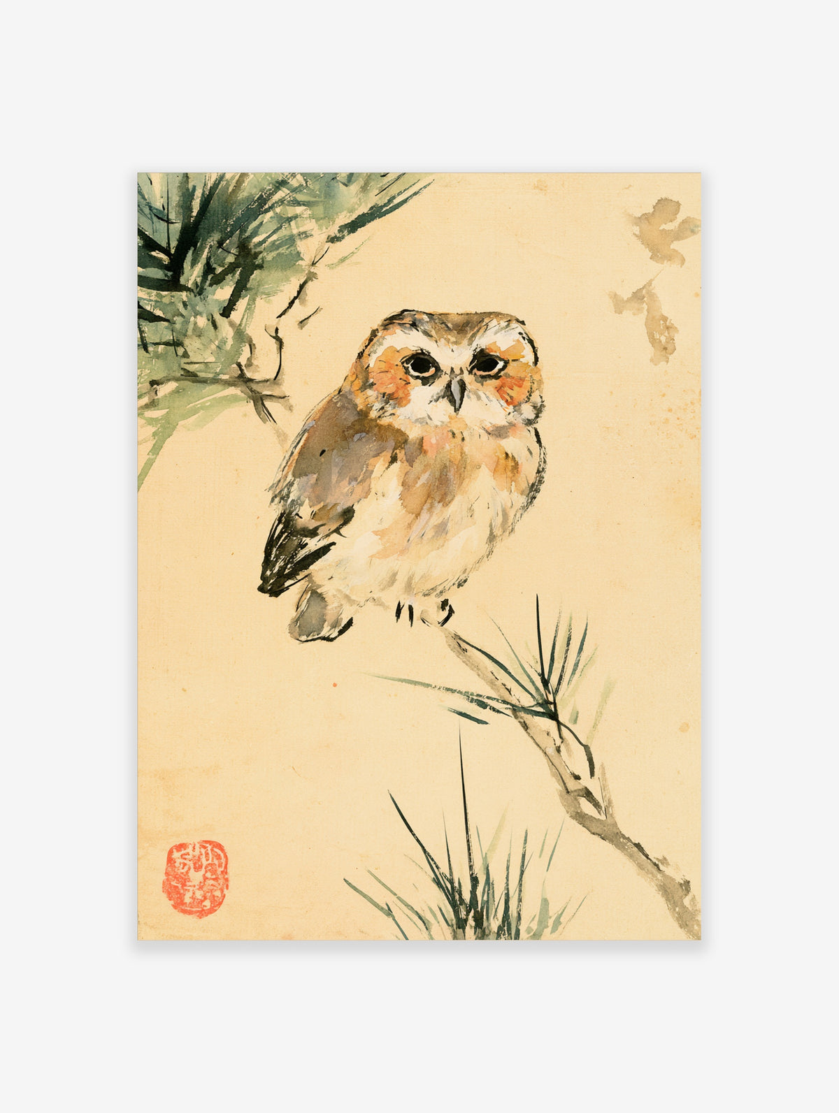 Owl on pine branch Japanese woodblock style art print with brown and orange feathers