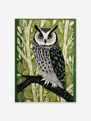 Illustrative long-eared owl perched on a branch, green and white forest background linocut style print
