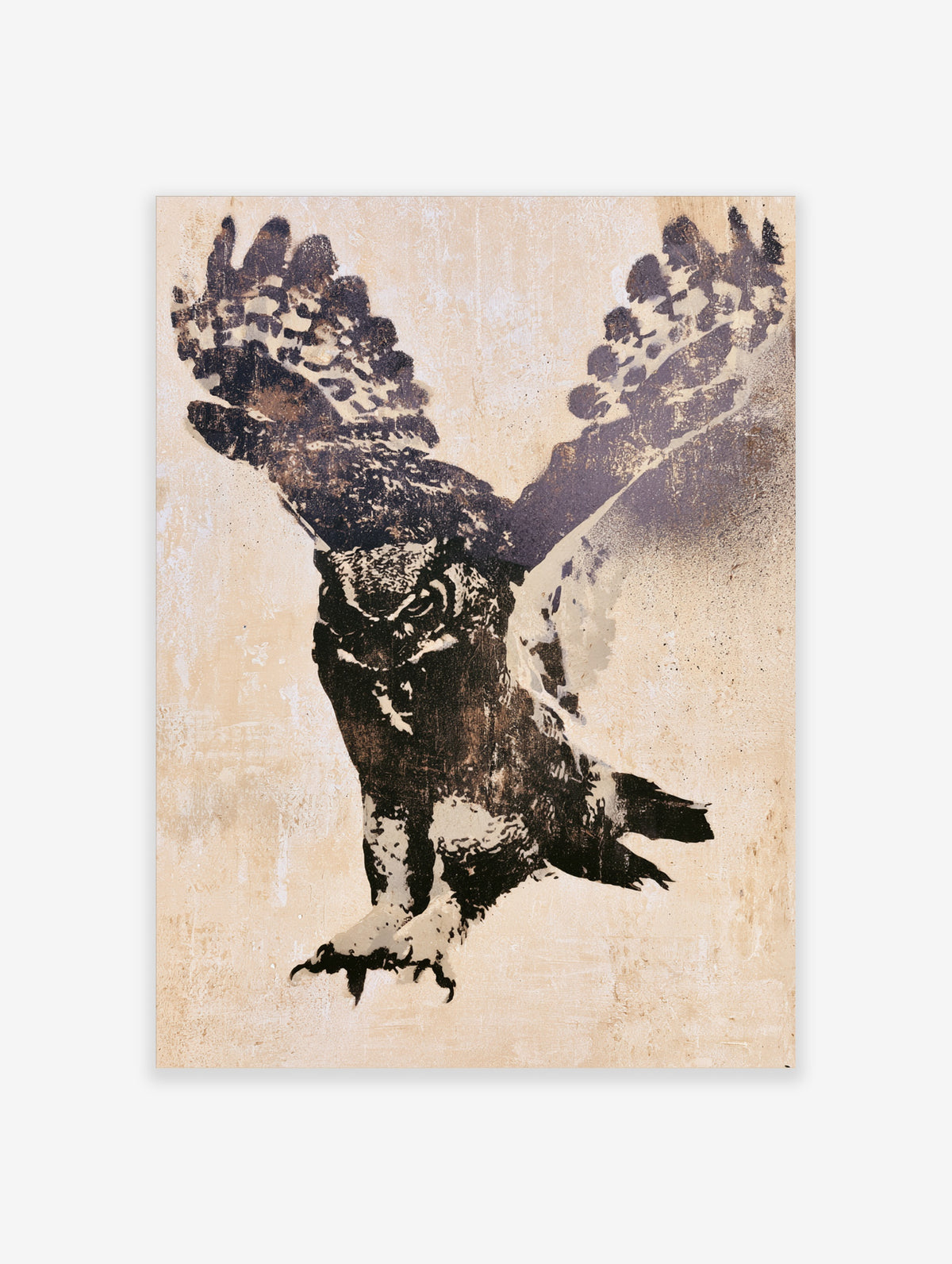 Barn owl in flight with raised wings and extended talons, dark brown and cream owl poster