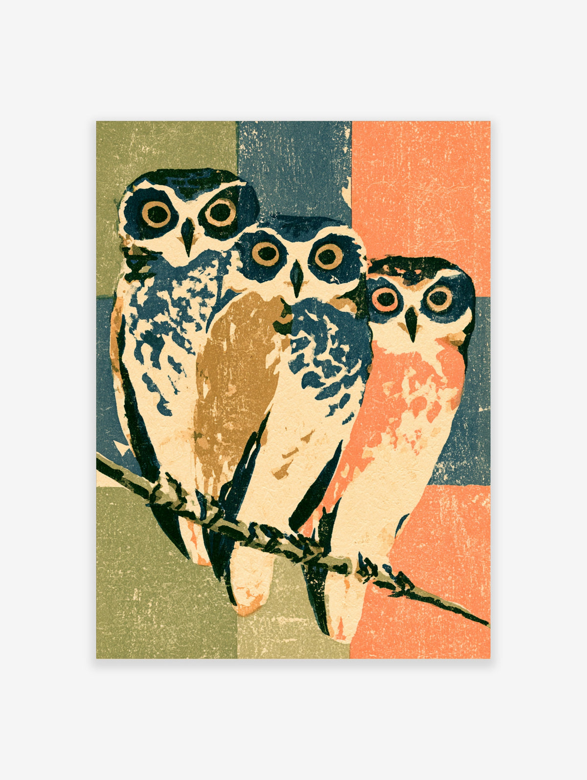 Three owls on a branch in a retro animal art print with blue, coral and green colour blocks