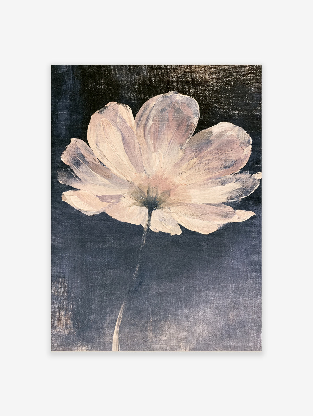 Pale pink flower painting with layered petals and a dark navy background, botanical wall art print