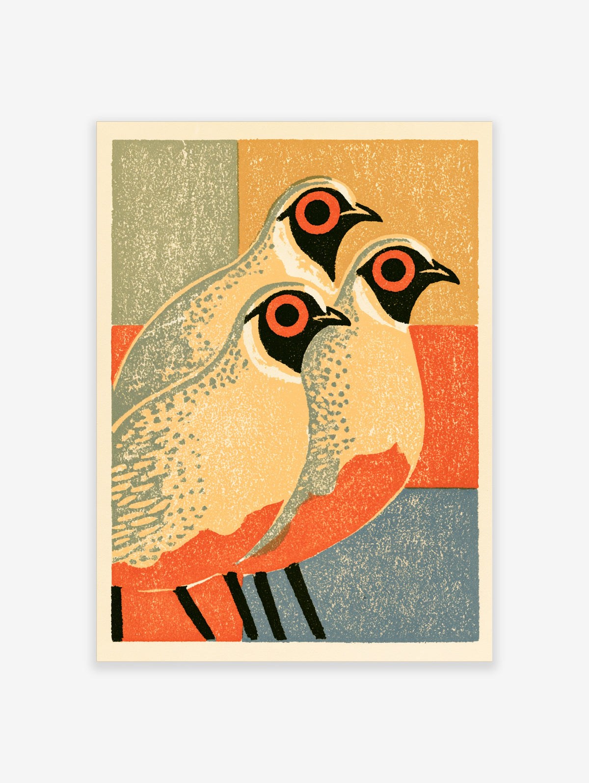 Three partridges with red eye rings and speckled plumage on a geometric colour block background art print