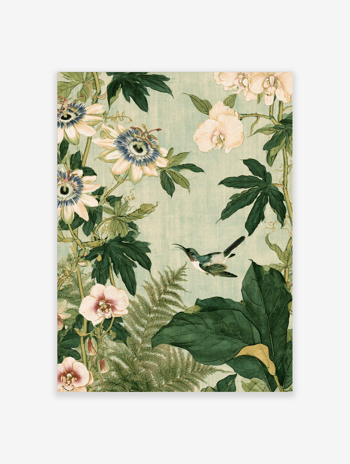 Vintage botanical art print of passionflowers and a hovering hummingbird among green leaves