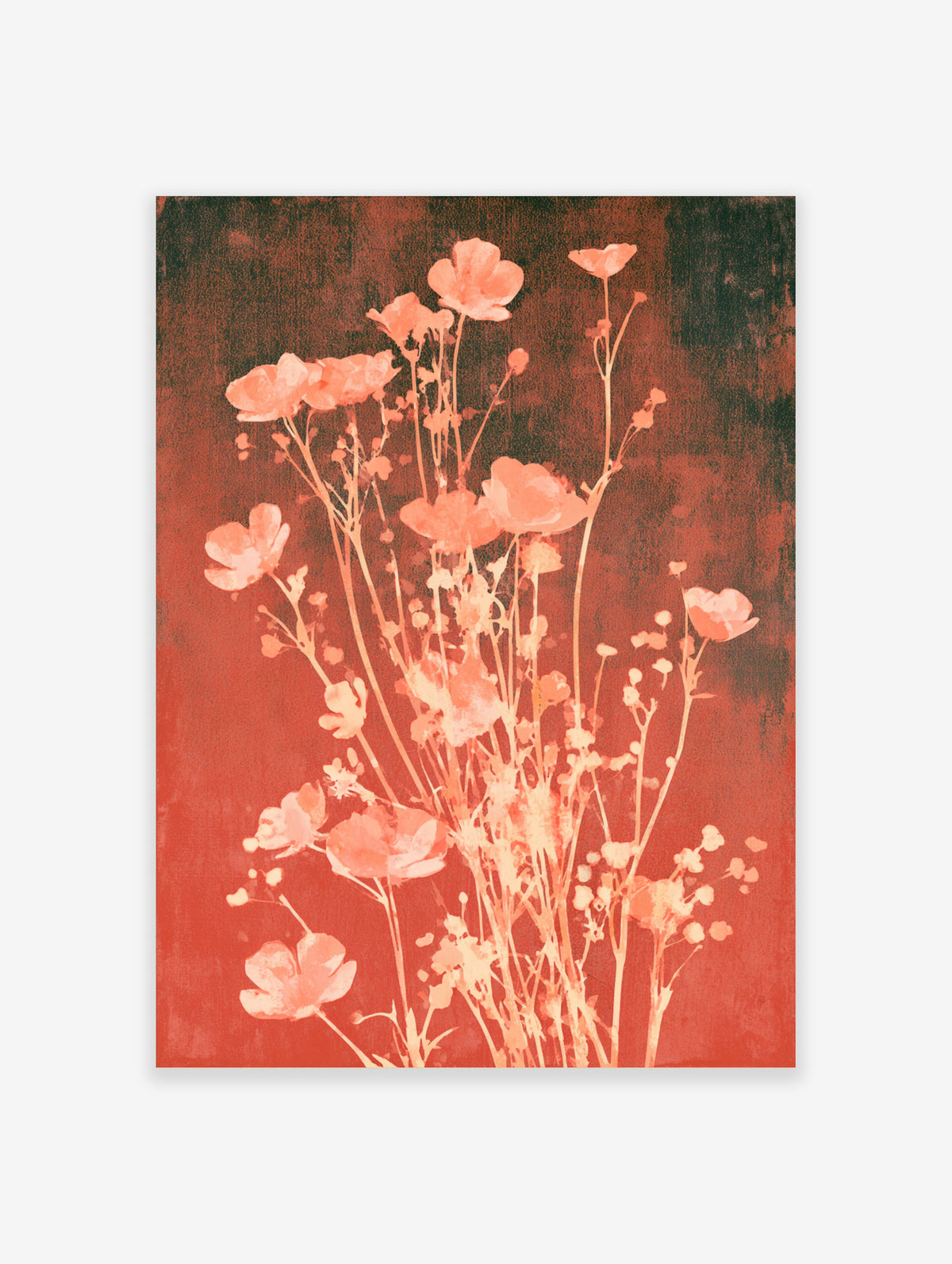 Peach poppy flower botanical art print with slender stems on a warm red background