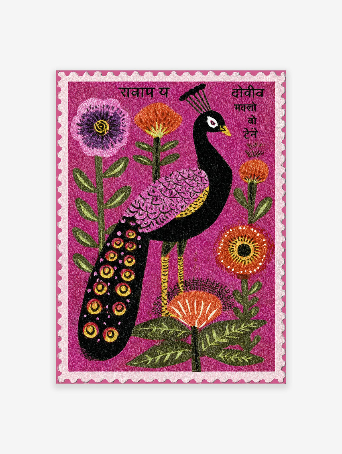 Vibrant folk art Peacock Wall Art print on a pink background with purple, orange, and red flowers.