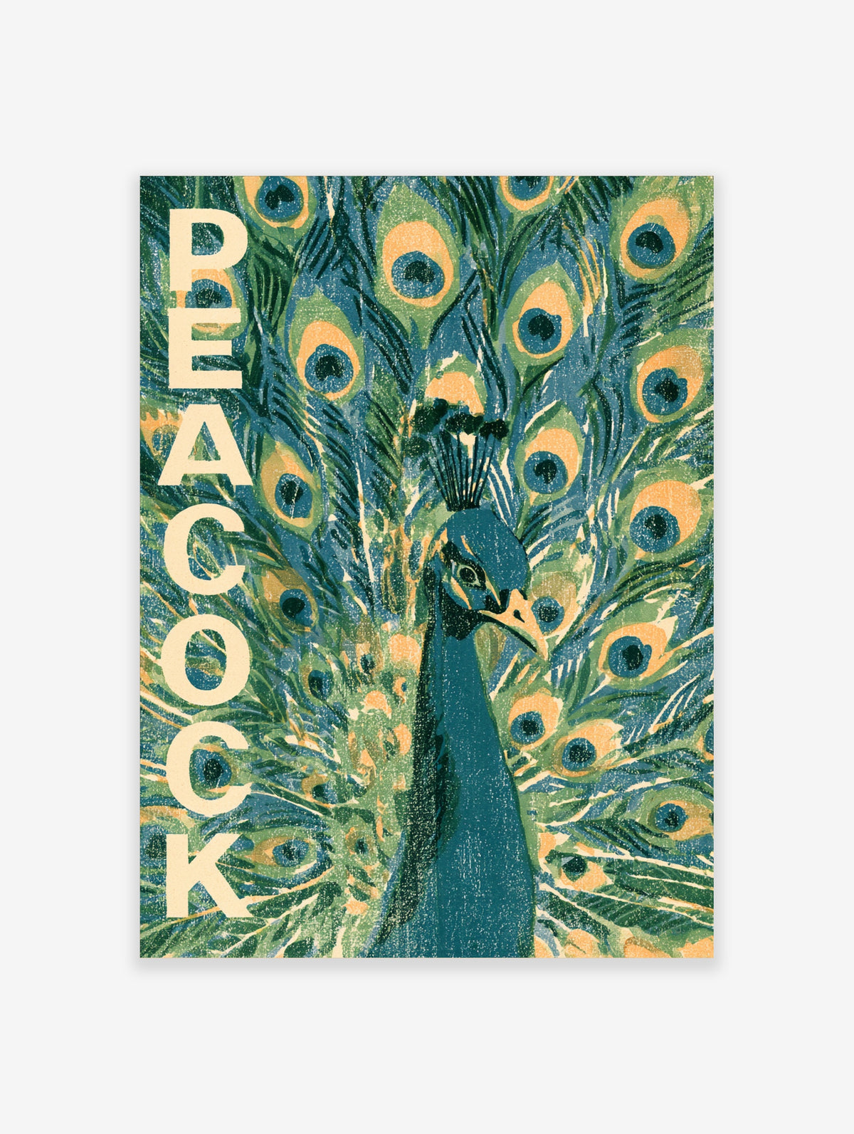 Peacock poster with vertical cream typography and green blue tail feather pattern