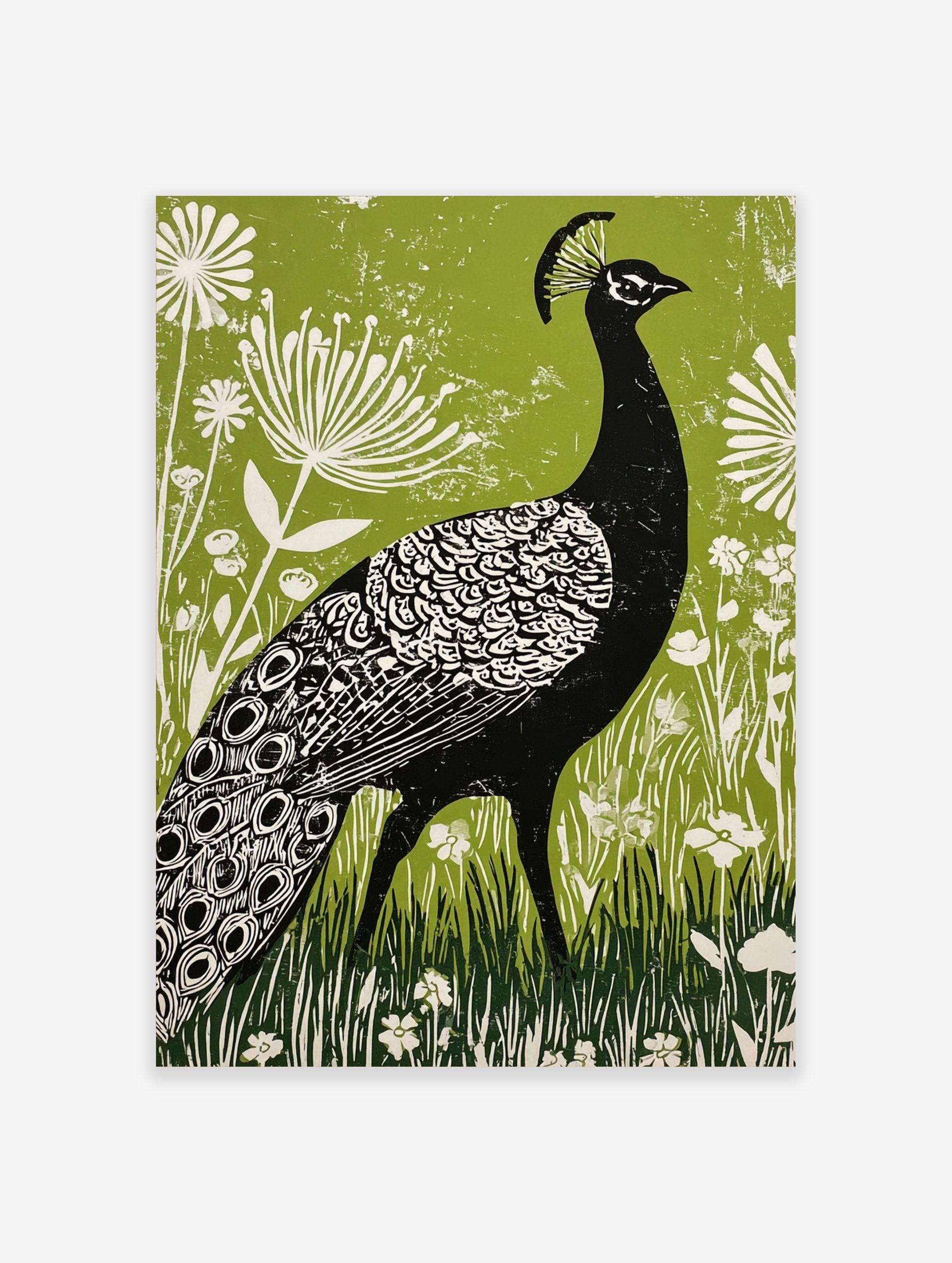 Black peacock linocut illustration with white patterns, green botanical background, and white flowers