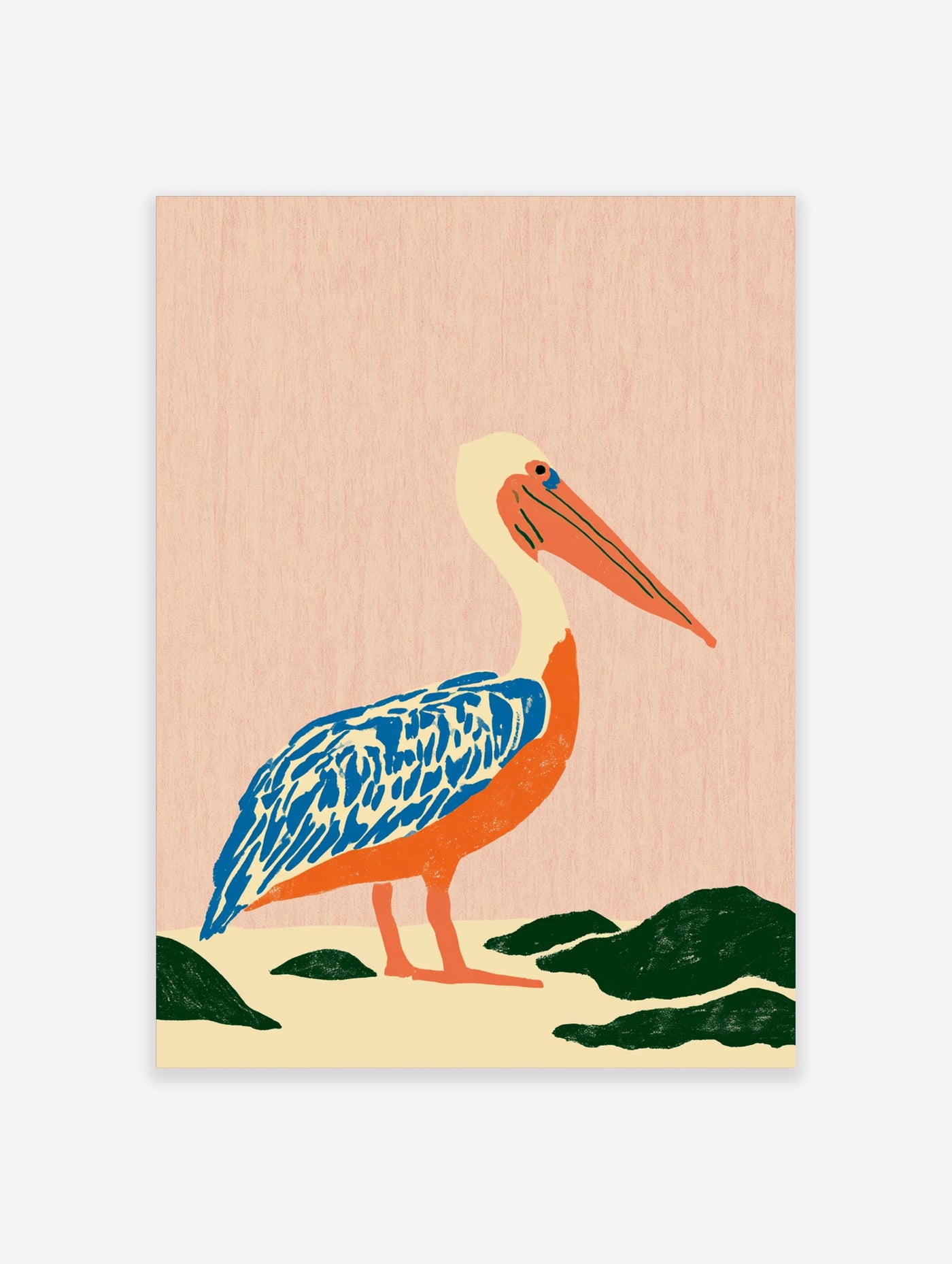 Pelican illustration with orange beak, blue wing feathers, and cream body on pink background