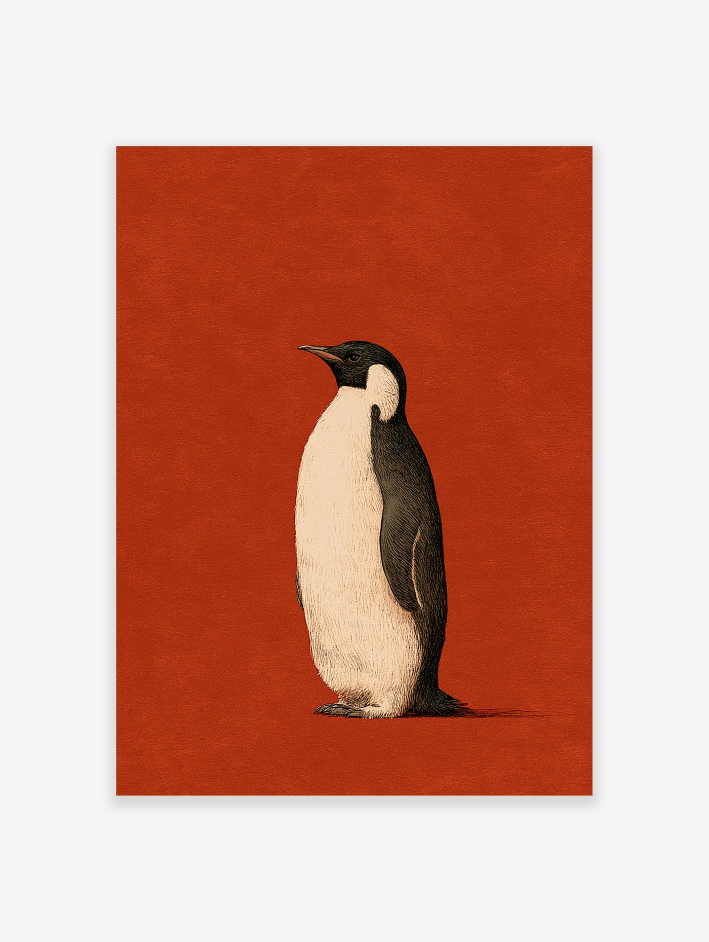 Detailed penguin illustration in profile on a solid red background, nature-themed wall art print