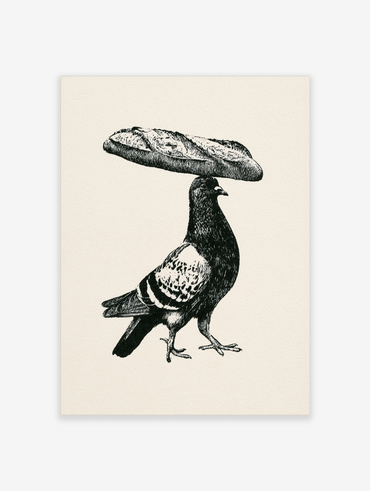 Black and white illustrative art print of a pigeon balancing a baguette on its head on a cream background
