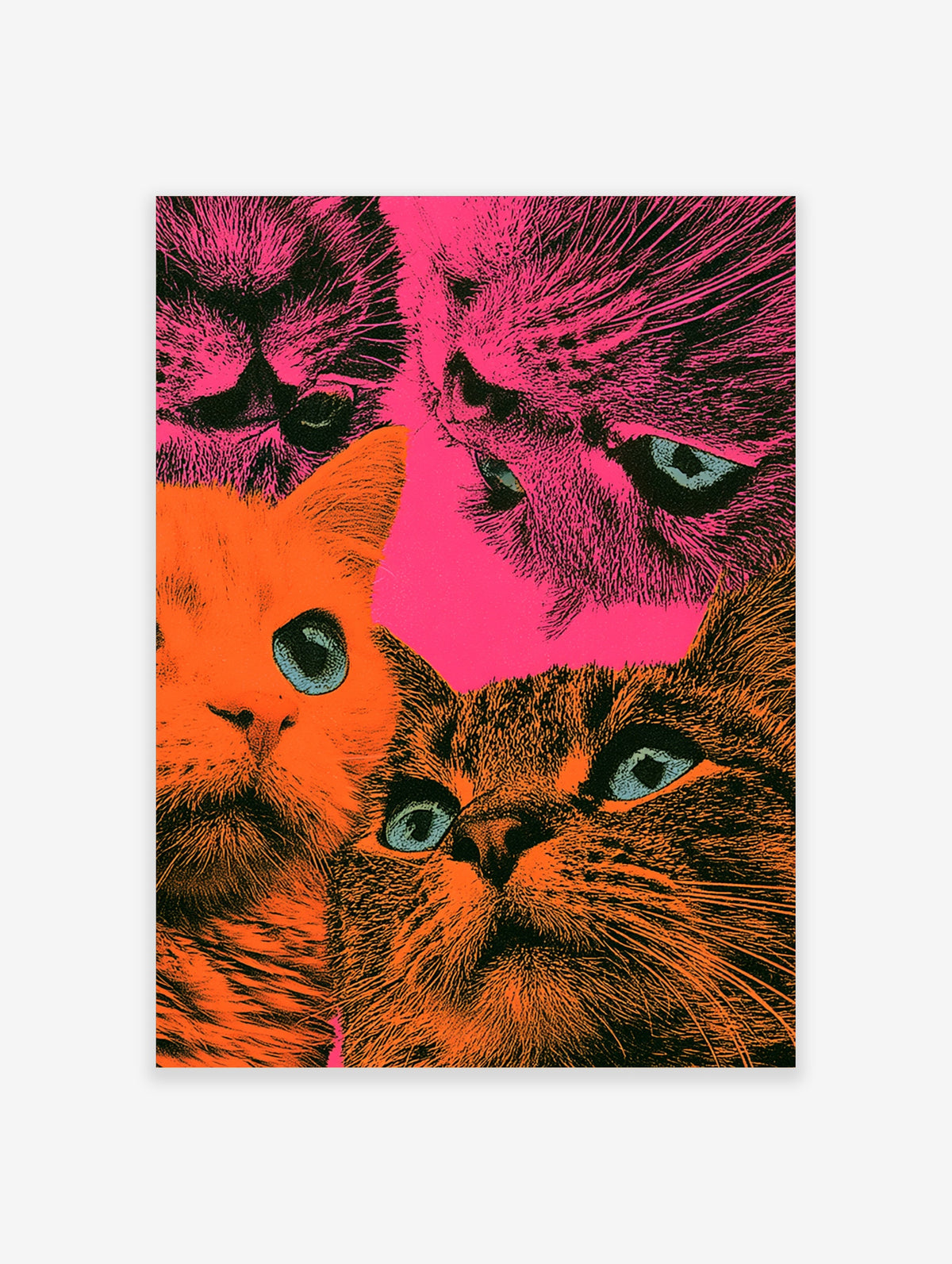 Pink and orange pop art cat print with three close-up feline faces and pale blue eyes