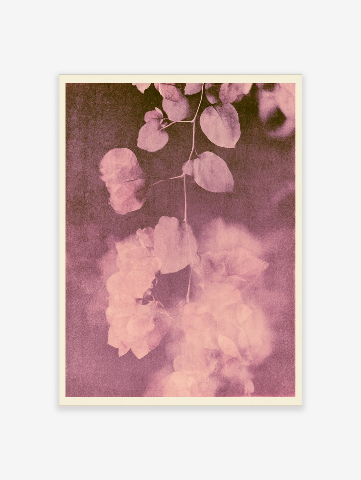 Pink botanical branch with rounded leaves and blurred floral clusters on a mauve background, portrait art print