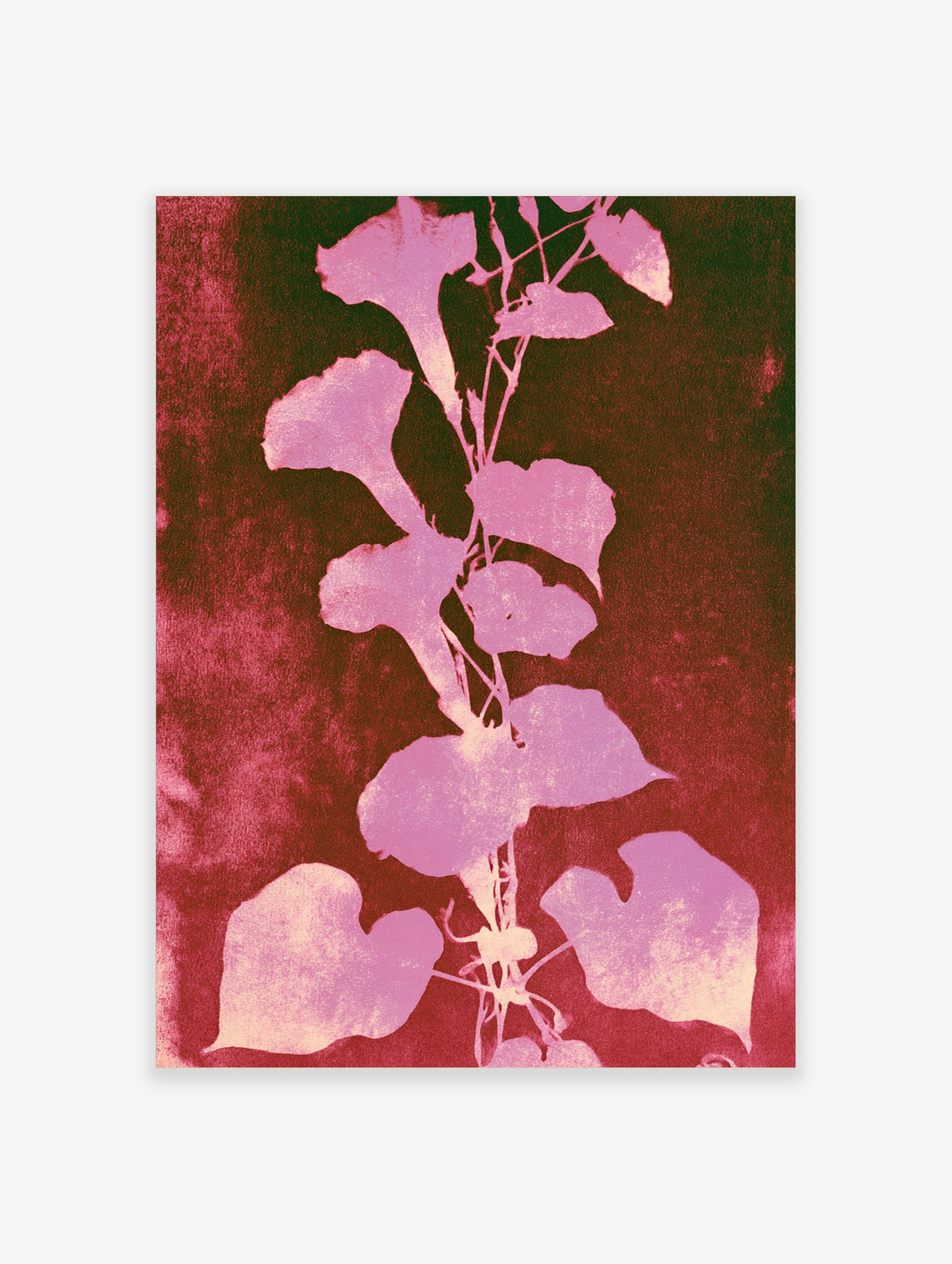 Pink leaf silhouette botanical art print on deep maroon and green background