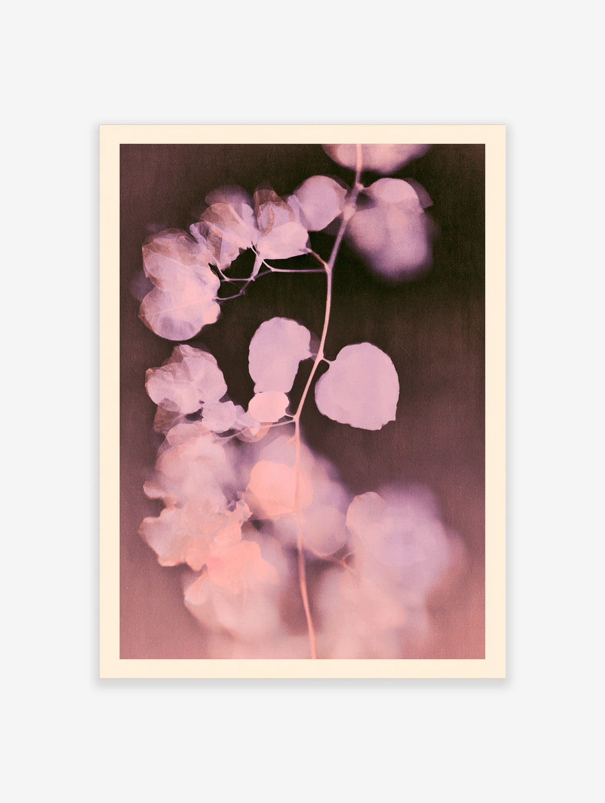 Pink botanical wall art with soft-focus leaves on a dark background, pastel leaf print