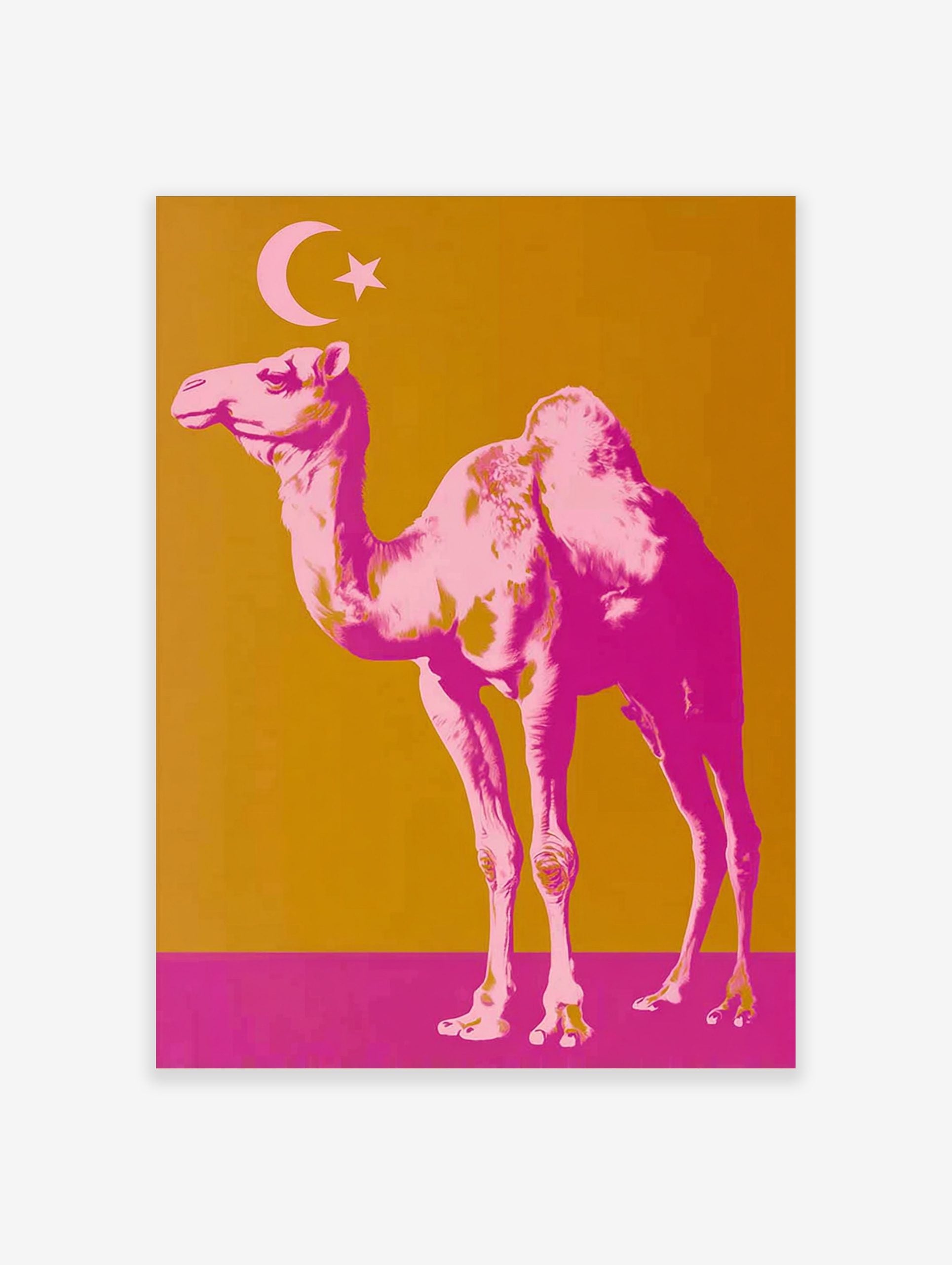 Pop art style print of a pink camel with a crescent moon and star on a golden-orange and magenta background