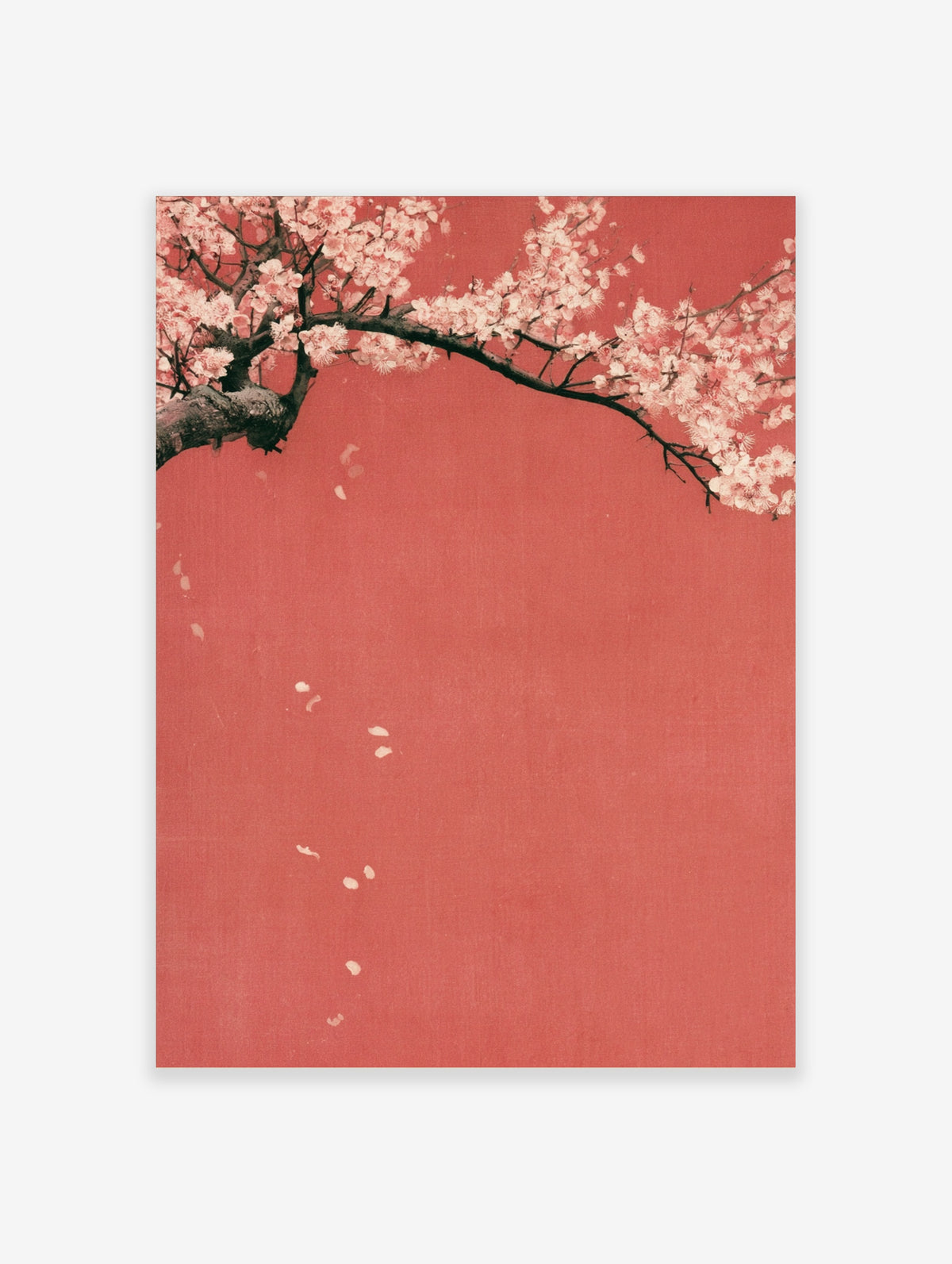 Pink cherry blossom branch on deep red background with falling petals, Japanese floral art print