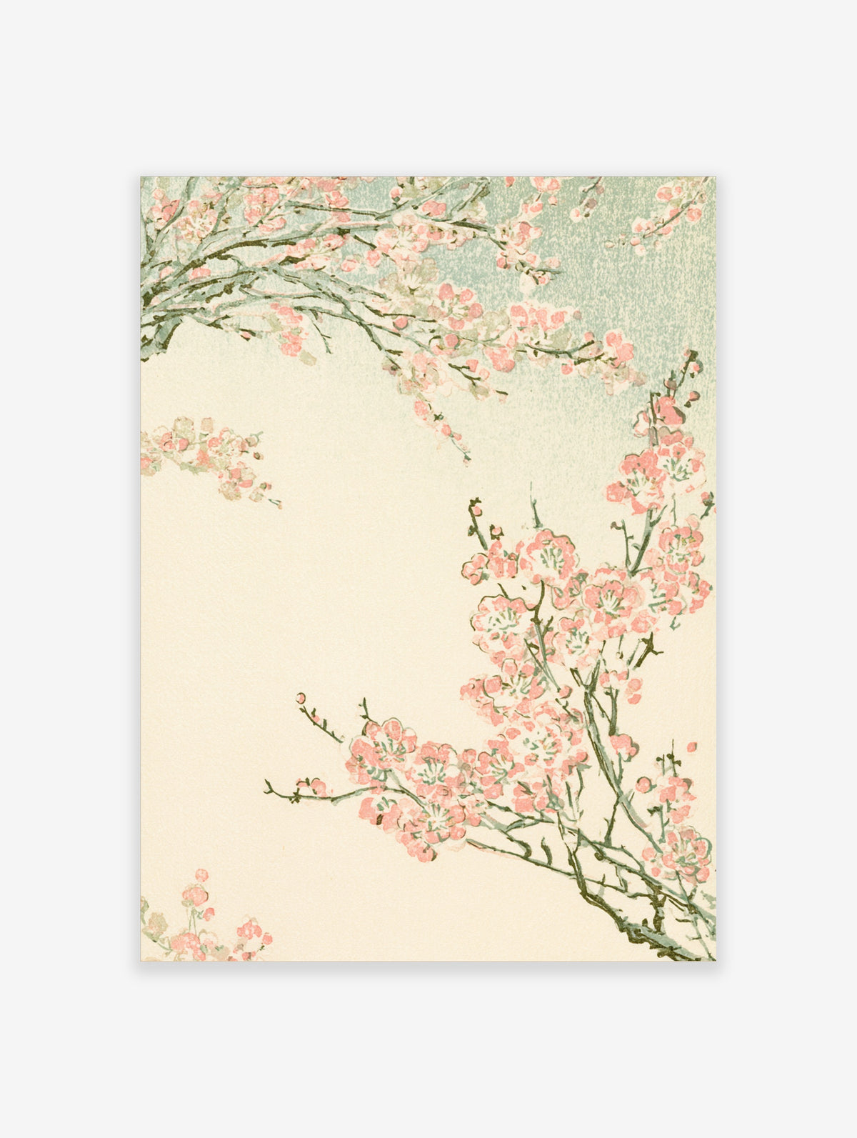 Pink cherry blossom branches with soft blooms on a cream and teal background, Japanese floral art print