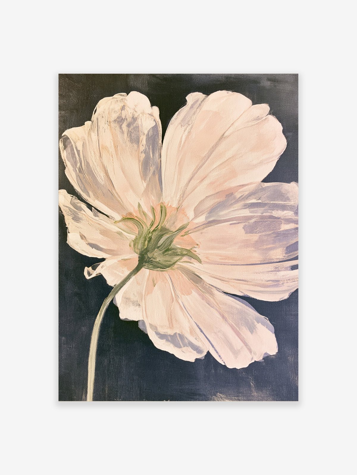 Pink cosmos flower botanical art print with green stem on dark navy background