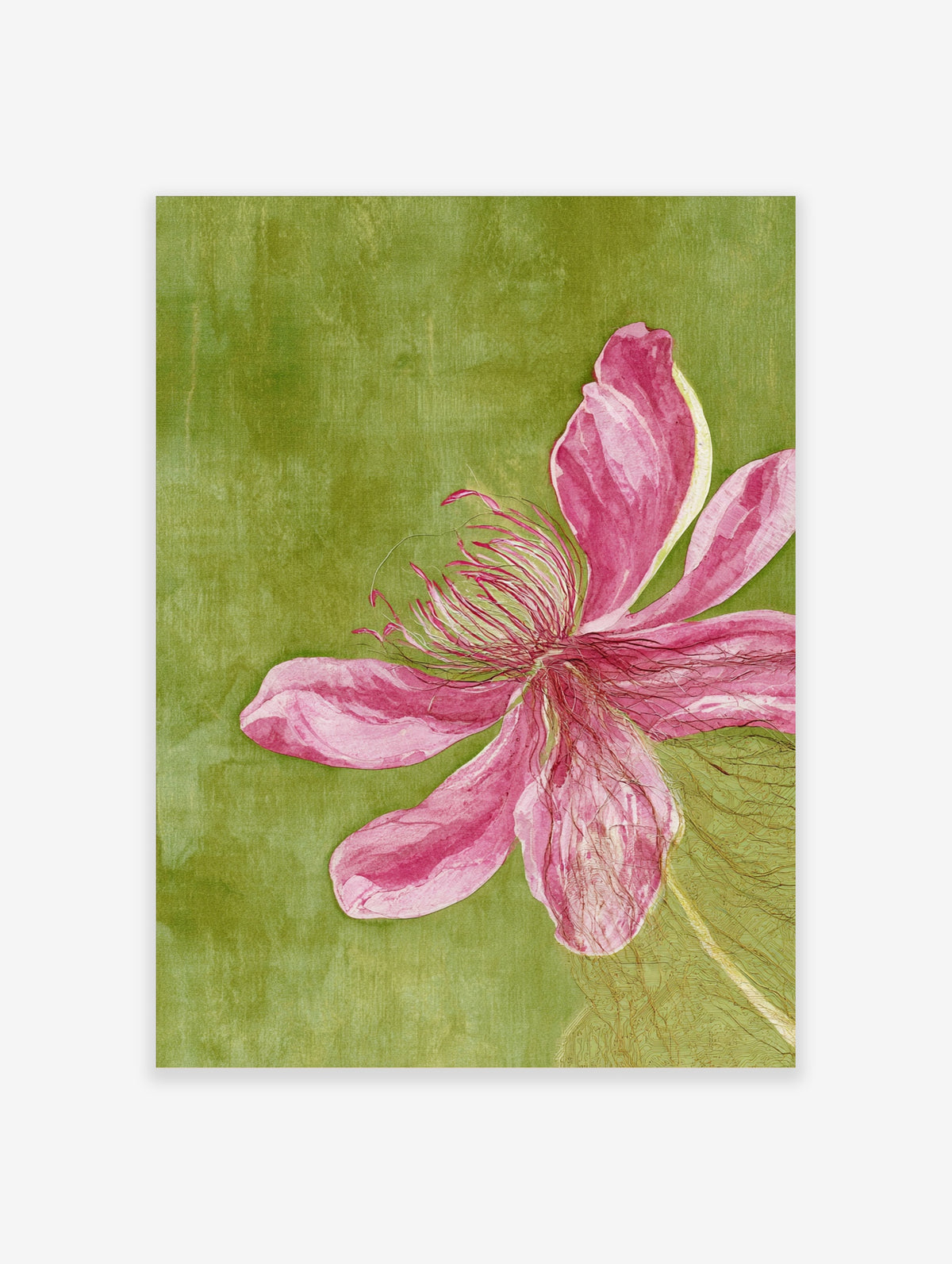 Pink flower botanical illustration with topographical line overlay on a textured green background art print