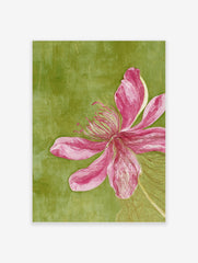 Pink flower botanical illustration with topographical line overlay on a textured green background art print