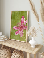 Pink flower botanical illustration with topographical line overlay on a textured green, in an alternate framed mockup