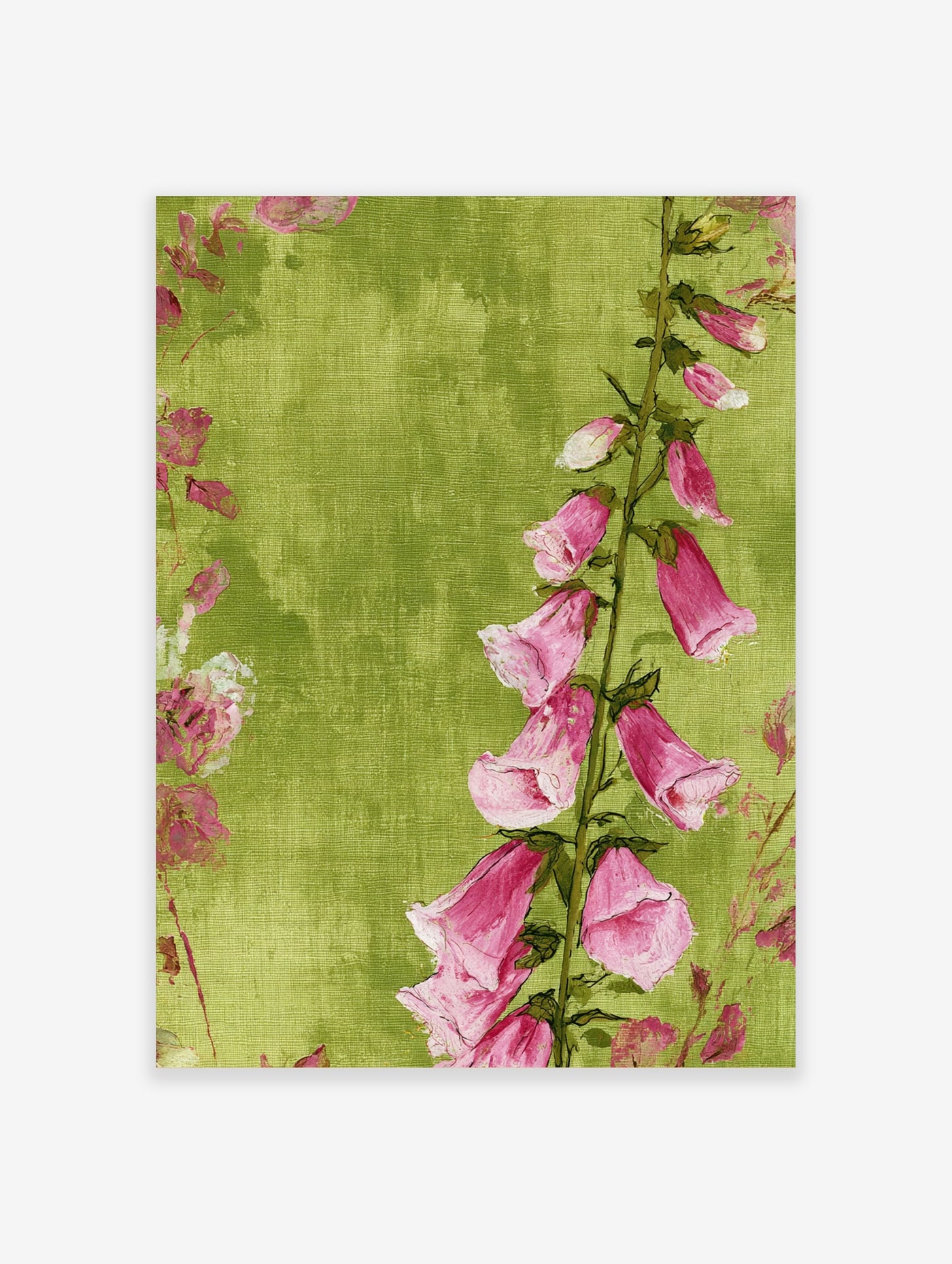 Pink foxglove flower botanical illustration on a textured green background art print