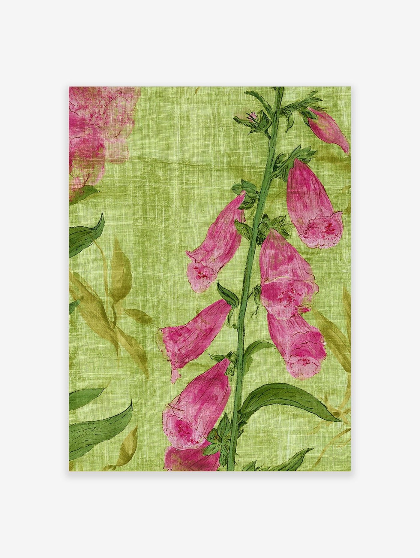 Botanical illustration of pink Foxglove flowers on a textured green background, vertical art print