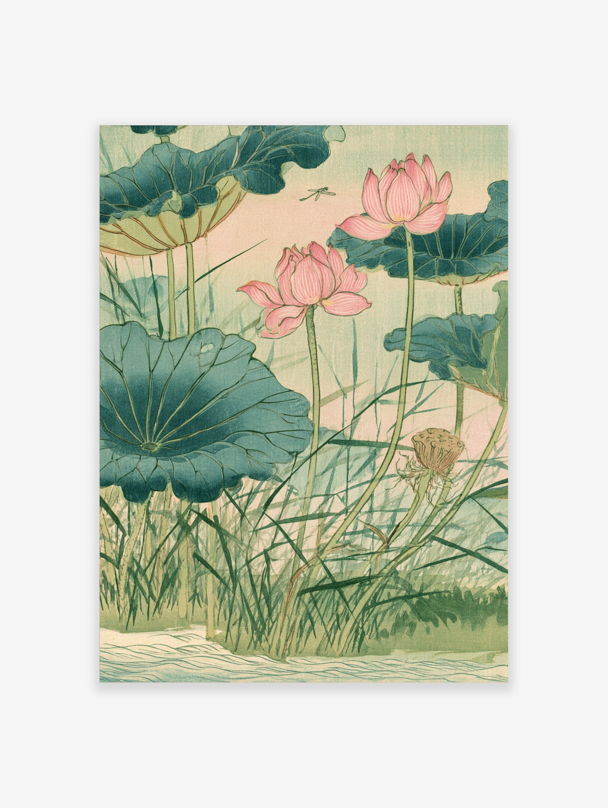 Pink lotus flowers and blue-green leaves in a Japanese botanical illustration art print