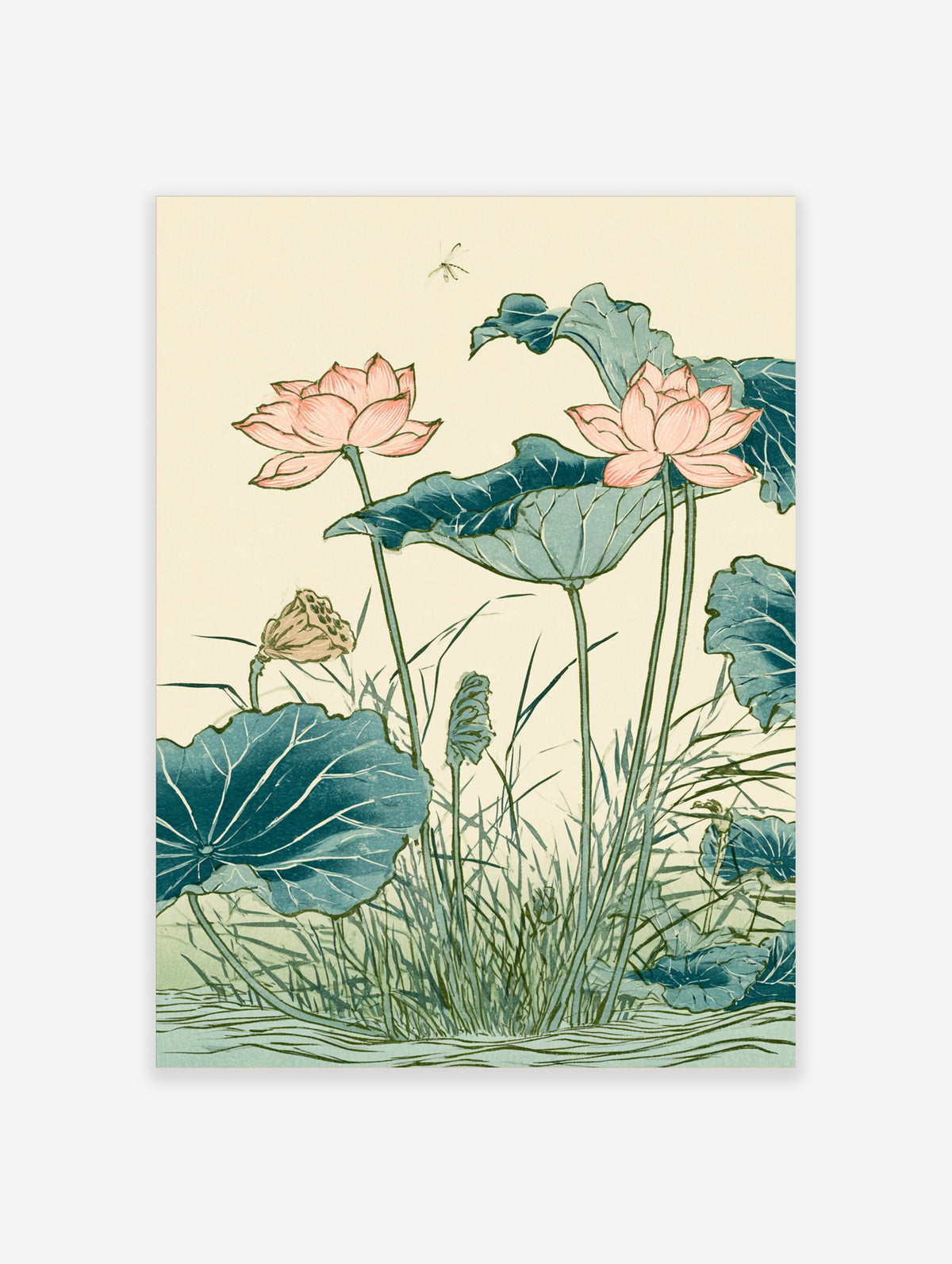 Pink lotus flowers and blue-green leaves with a dragonfly on a cream background, Japanese botanical art print
