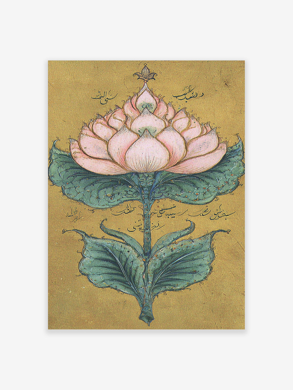 Pink lotus flower with teal leaves and Persian calligraphy on a gold background, botanical illustration art print