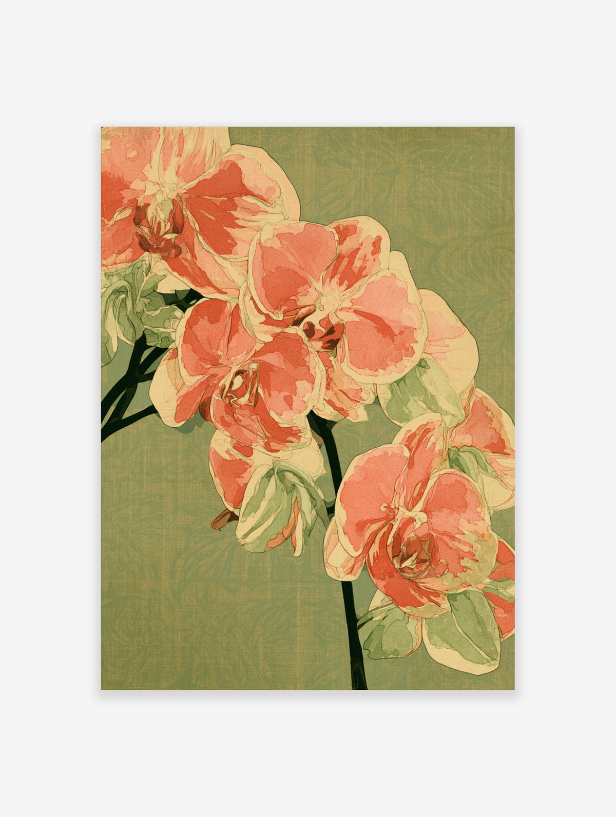 Pink orchid flower botanical illustration art print with green leaves on sage green background
