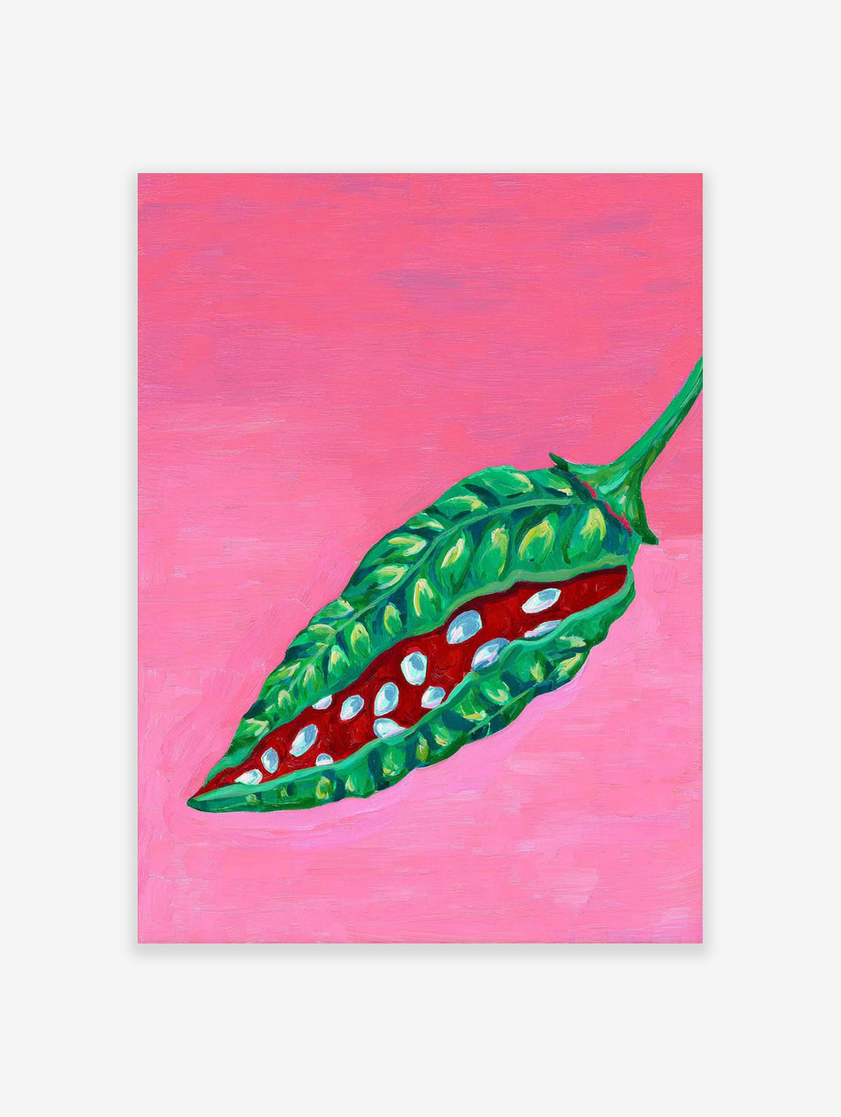 Illustration of a green pepper pod with red interior and white seeds on a pink background