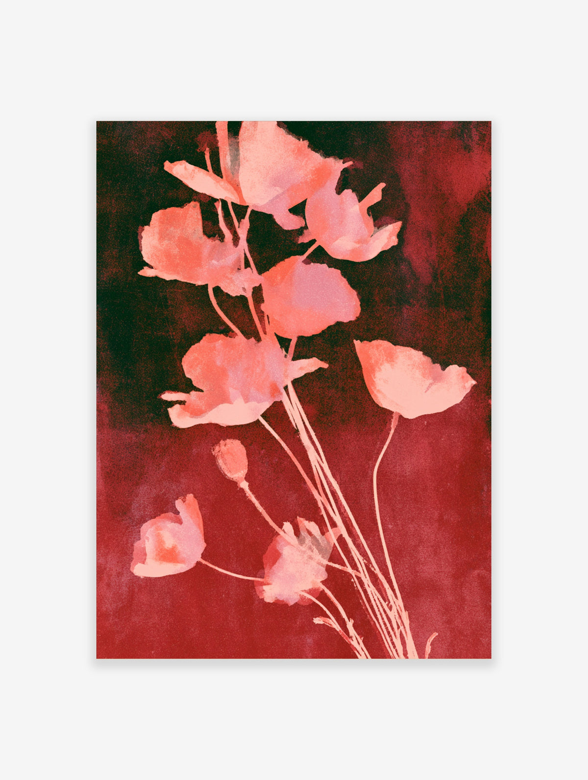 Pink poppy flower art print with watercolour petals and stems on a deep red background