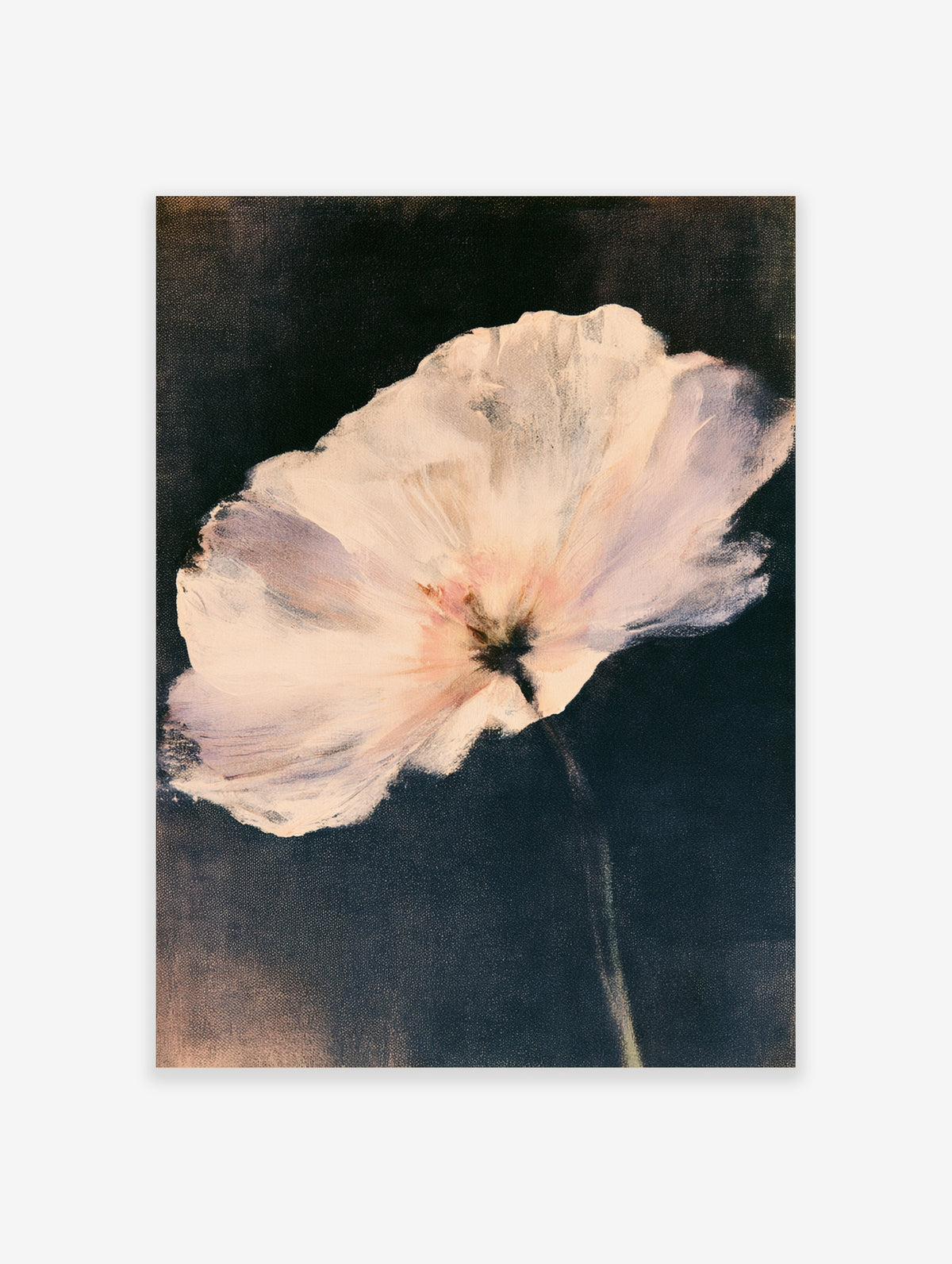 Pale pink poppy flower with dark centre on deep navy background, floral art print
