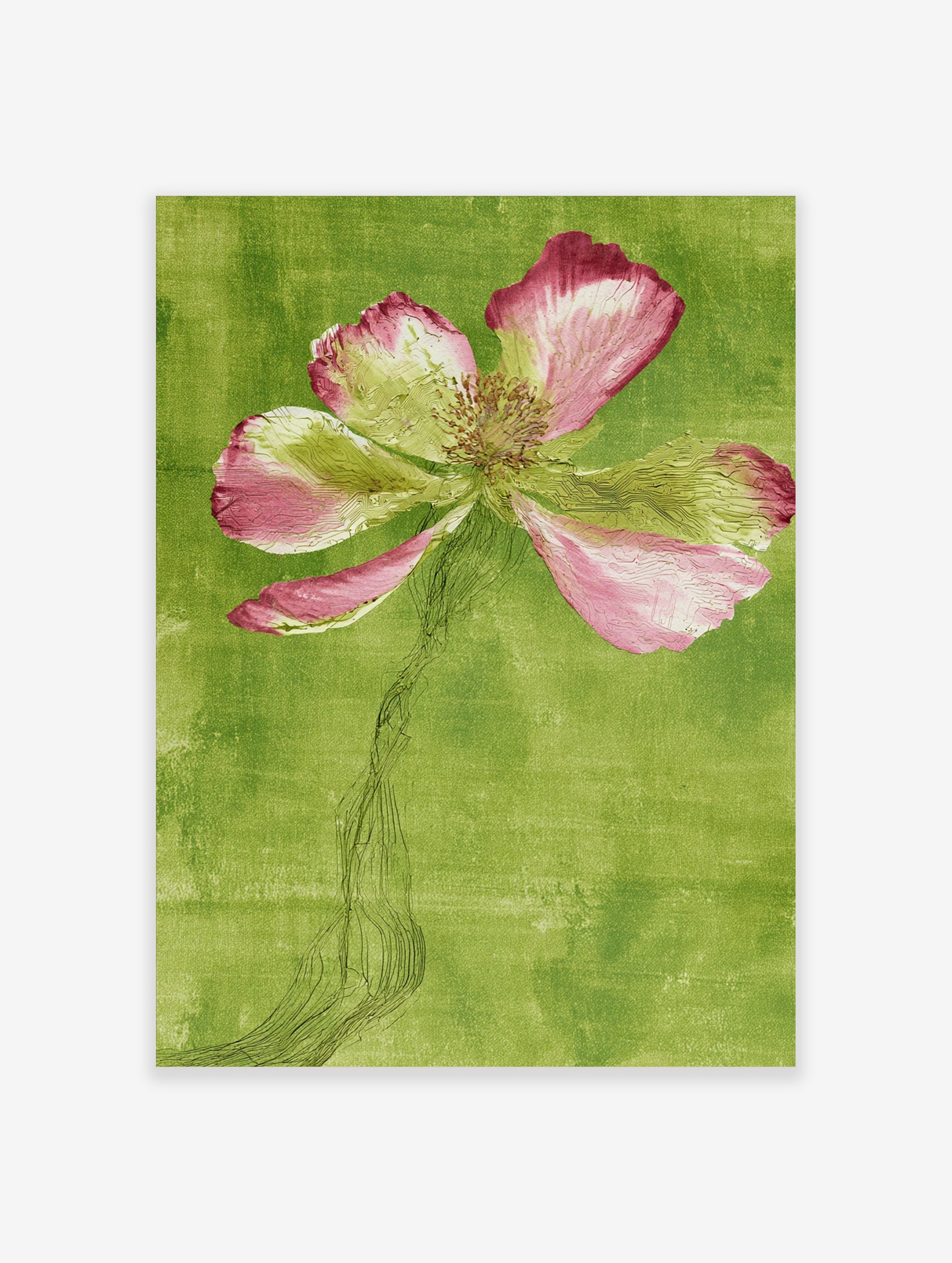 Stylized pink poppy flower illustration with an etched stem against a textured green background, botanical art print
