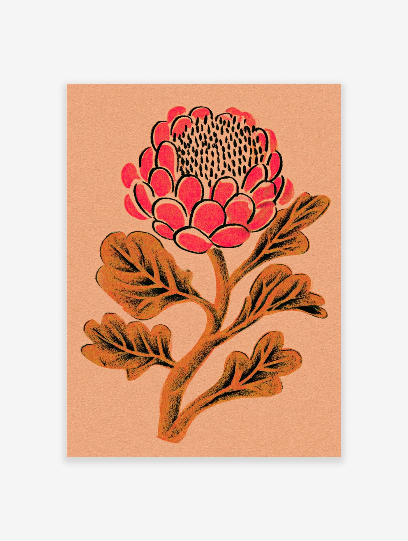 Pink protea flower with orange leaves on peach background, retro botanical illustration print