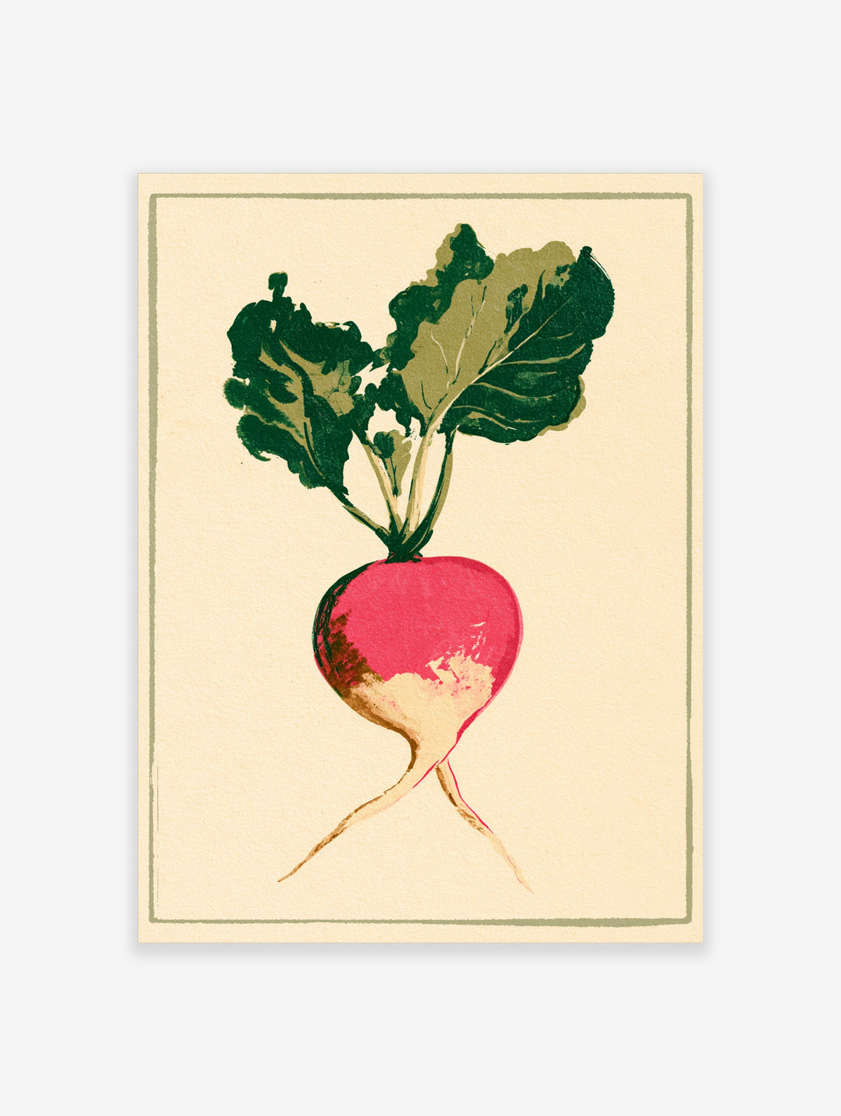 Pink radish with green leaves and two root tails on a cream background, botanical art print