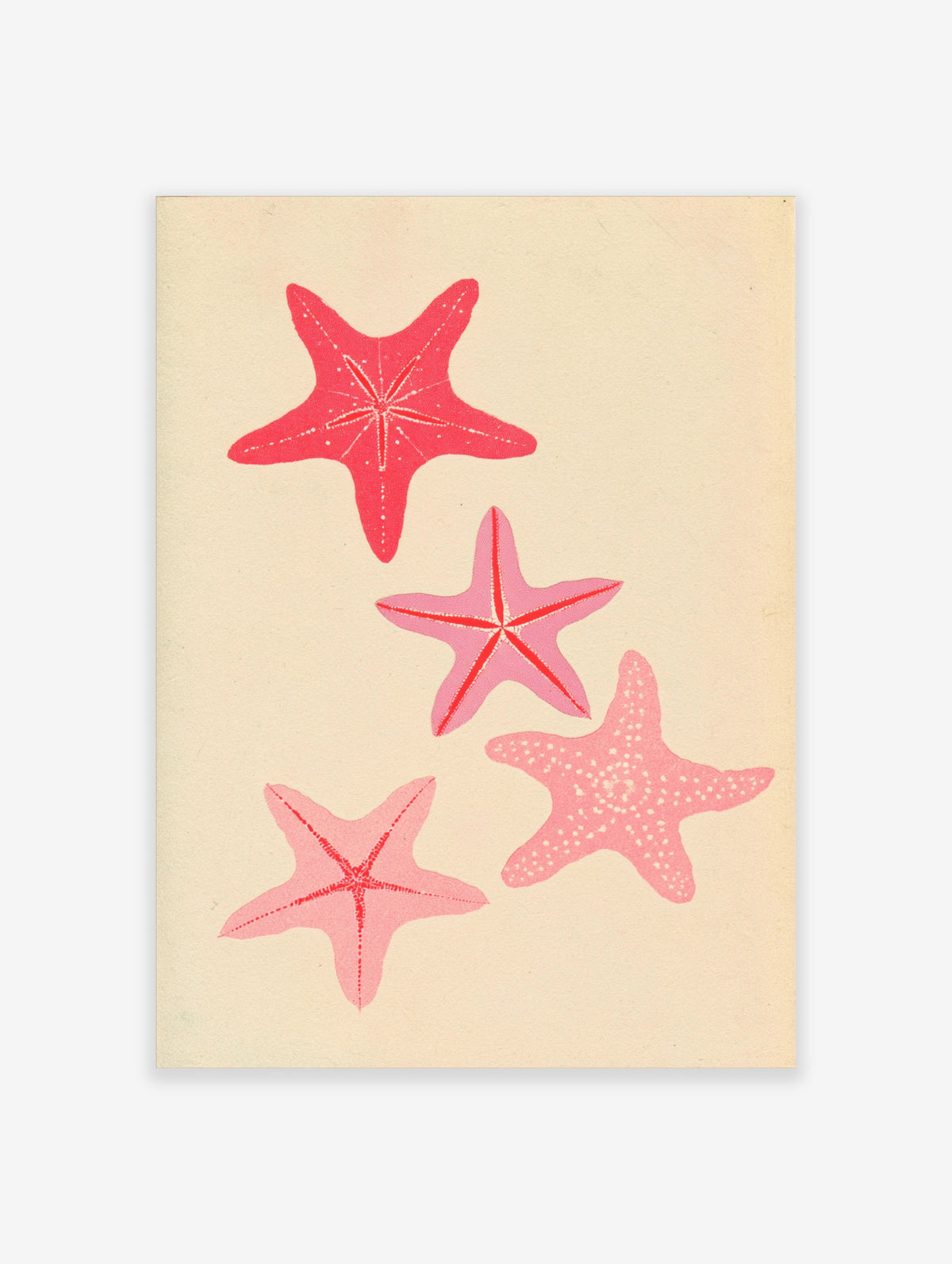 Pink starfish wall art print with four sea stars in coral and rose tones on a cream background