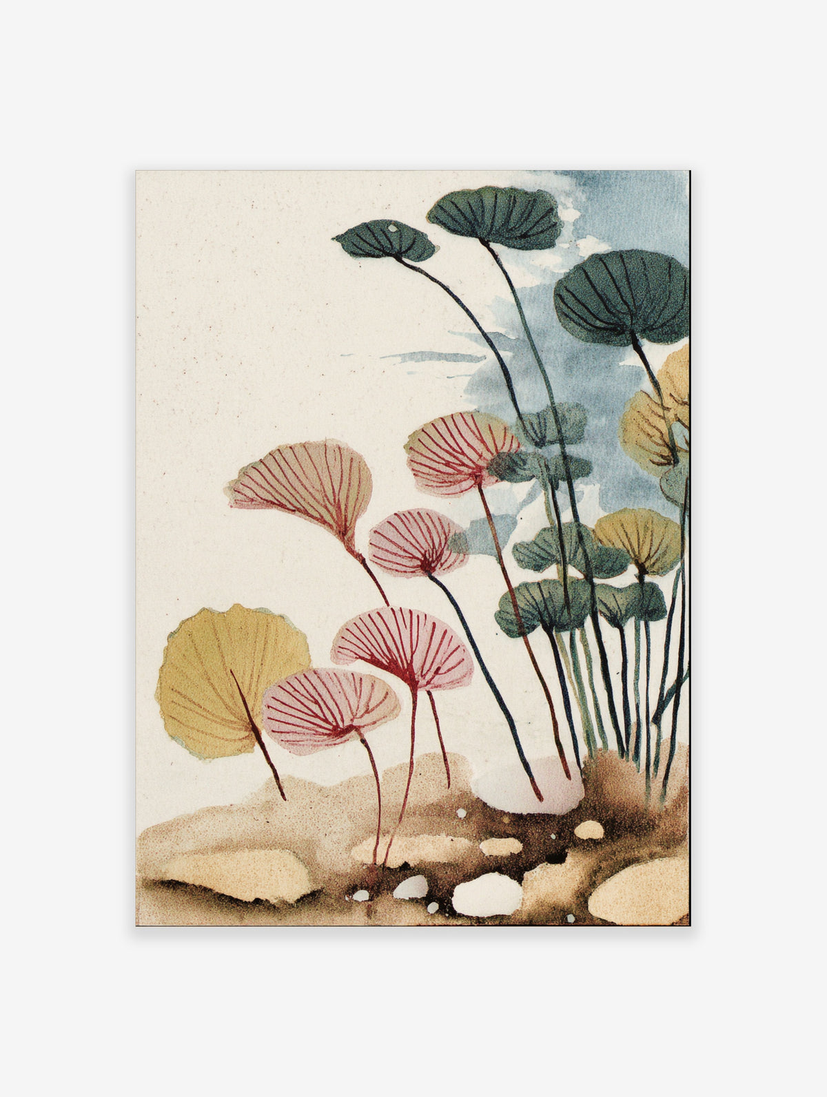 Pink water lily botanical art print with green lily pads on cream background
