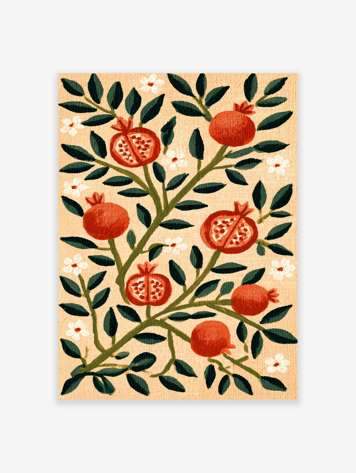 Botanical illustration of red pomegranates, green leaves and white flowers on a textured tan background, art print
