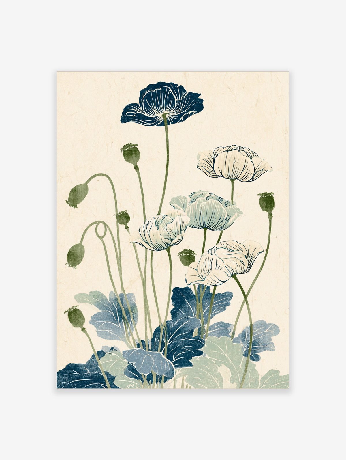 Poppy flower botanical illustration art print with navy and cream blooms on green stems
