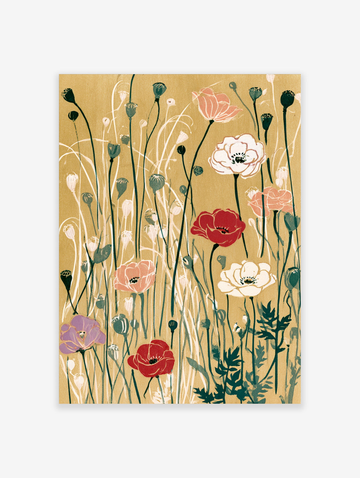 Poppy flower botanical art print with red, pink and white blooms on tan background