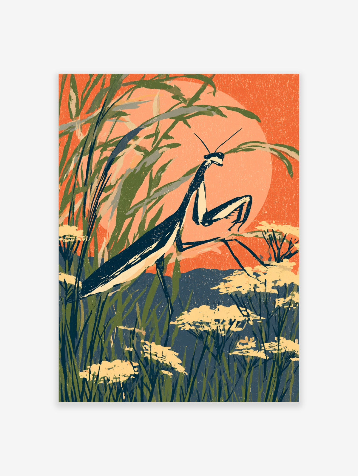 Praying mantis art print with cream wildflowers, green grasses, and orange sun on dark blue ground