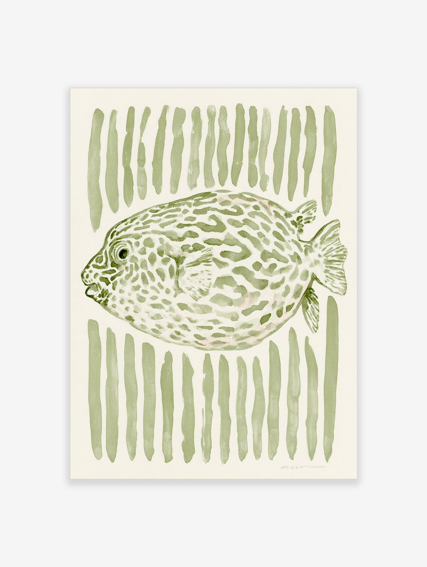 Pufferfish illustration in sage green with vertical stripes on an off-white background, illustrative botanical wall art
