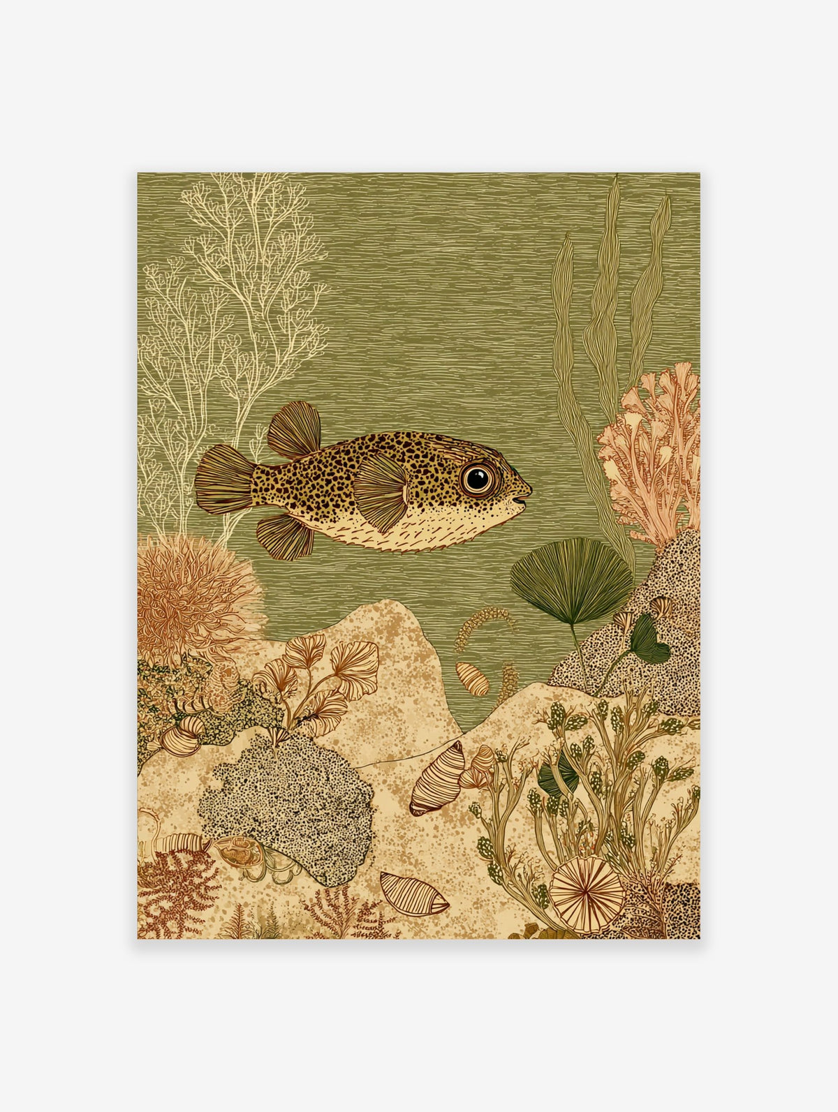Spotted pufferfish swimming right in green water with white and brown coral, plants, and shells on seabed