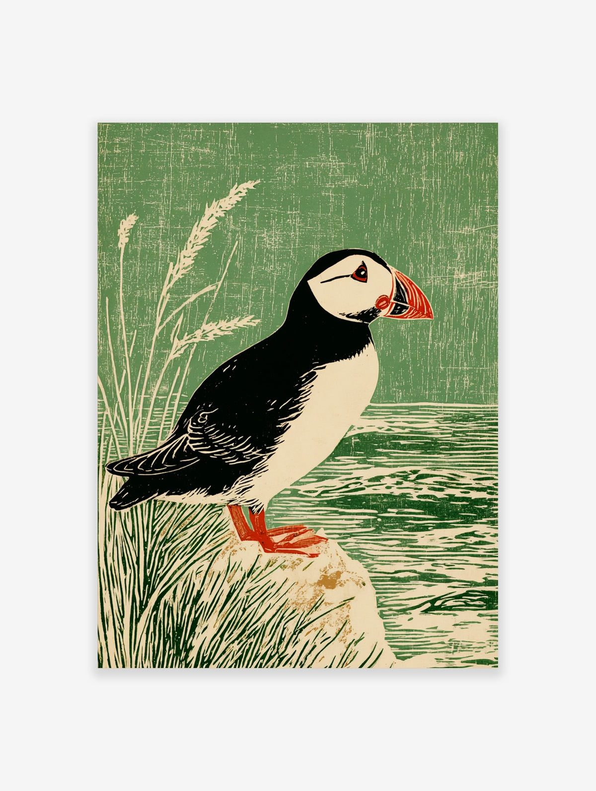 Illustrative print of a puffin bird with a red beak, standing on a rock by water and green grass