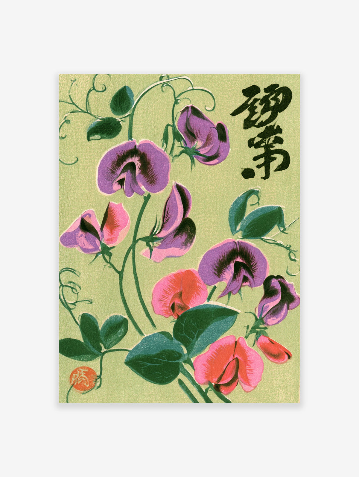 Purple and pink sweet pea flowers with green leaves and black calligraphy on a pale green background
