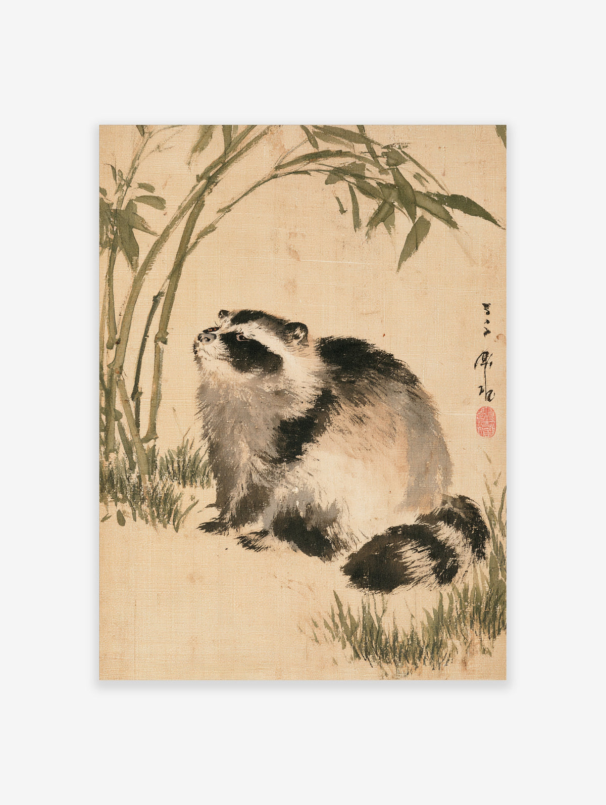 Raccoon and bamboo ink wash art print with calligraphy and red seal